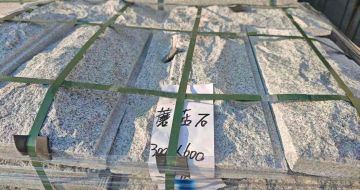 那曲芝麻白蘑菇石，自然面